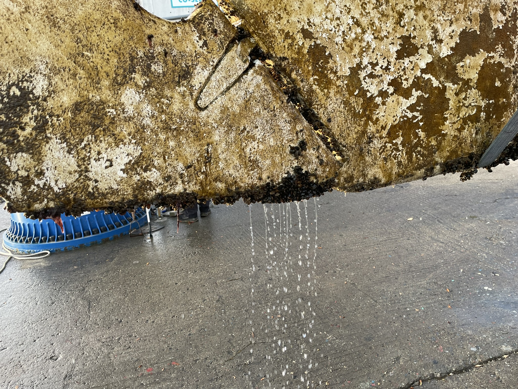 Unterwasserschiff der Kaipuu too nach 25 Monaten im Wasser